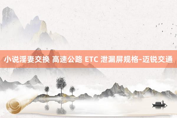 小说淫妻交换 高速公路 ETC 泄漏屏规格-迈锐交通