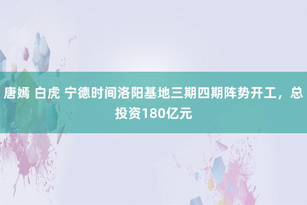 唐嫣 白虎 宁德时间洛阳基地三期四期阵势开工，总投资180亿元