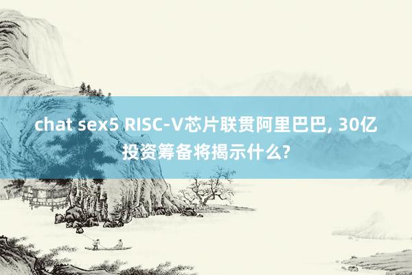 chat sex5 RISC-V芯片联贯阿里巴巴， 30亿投资筹备将揭示什么?