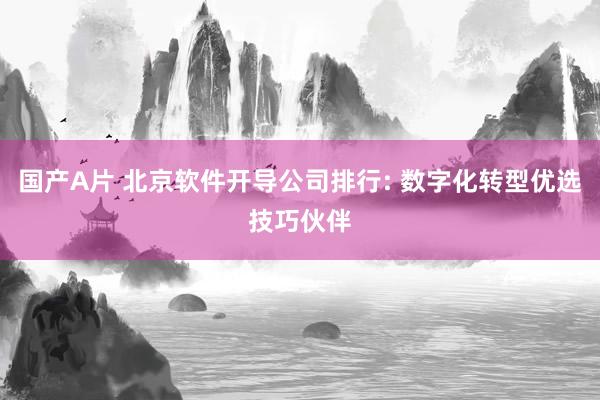 国产A片 北京软件开导公司排行: 数字化转型优选技巧伙伴