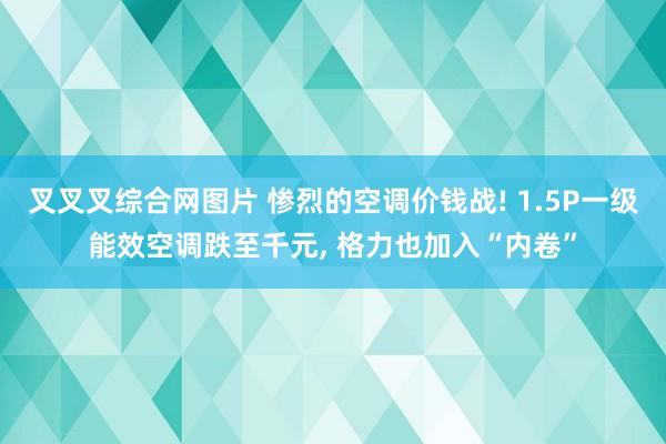 叉叉叉综合网图片 惨烈的空调价钱战! 1.5P一级能效空调跌至千元， 格力也加入“内卷”