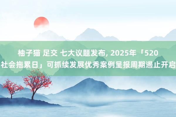 柚子猫 足交 七大议题发布， 2025年「520社会拖累日」可抓续发展优秀案例呈报周期遏止开启