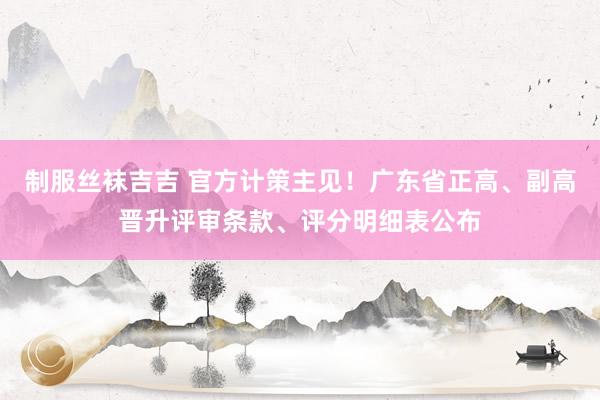 制服丝袜吉吉 官方计策主见！广东省正高、副高晋升评审条款、评分明细表公布