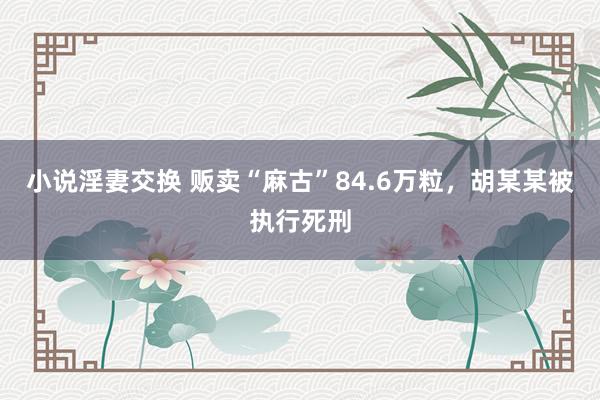 小说淫妻交换 贩卖“麻古”84.6万粒，胡某某被执行死刑